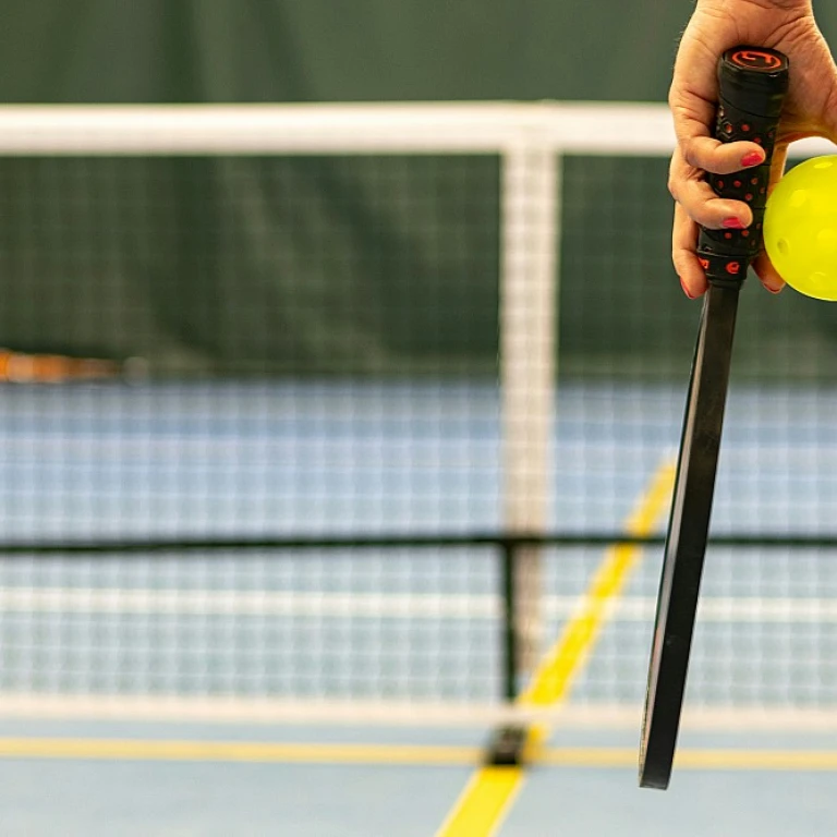 Exploring the Benefits of a Mini Pickleball Court