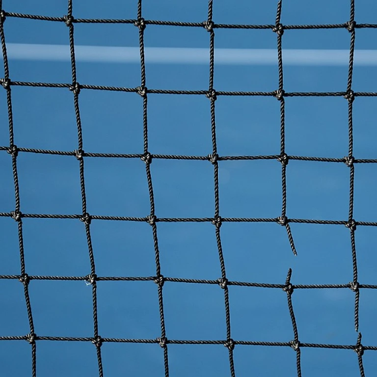 Exploring the Palm Beach Pickleball League: A Comprehensive Guide