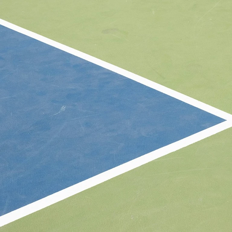 Comparing the Net Heights of Pickleball and Tennis
