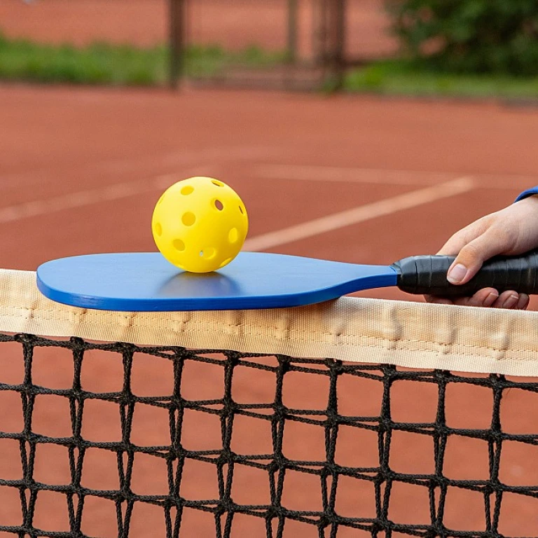 Where to Find Pickleball Paddle Rentals Nearby