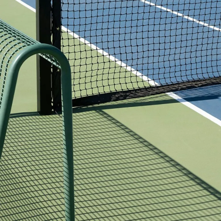 Exploring Opportunities in the Pickleball Business Market
