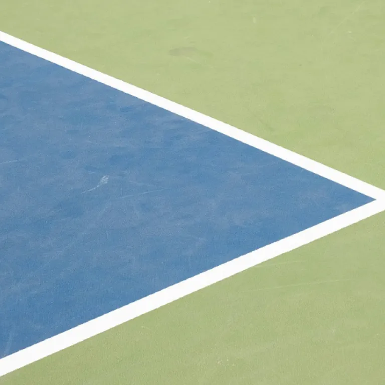 Embrace Pickleball Every Day of the Year