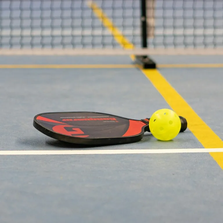 Exploring Pickleball Courts in Glen Allen, VA