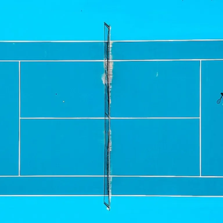 Why protecting your paddle matters: understanding pickleball paddle cover importance