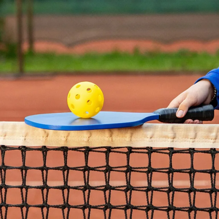 Everything you need to know about choosing a pickleball court kit