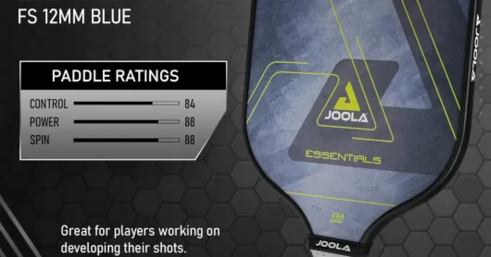 Cheap Joola JOOLA Essentials Performance Pickleball Paddle Review: a solid starter ...