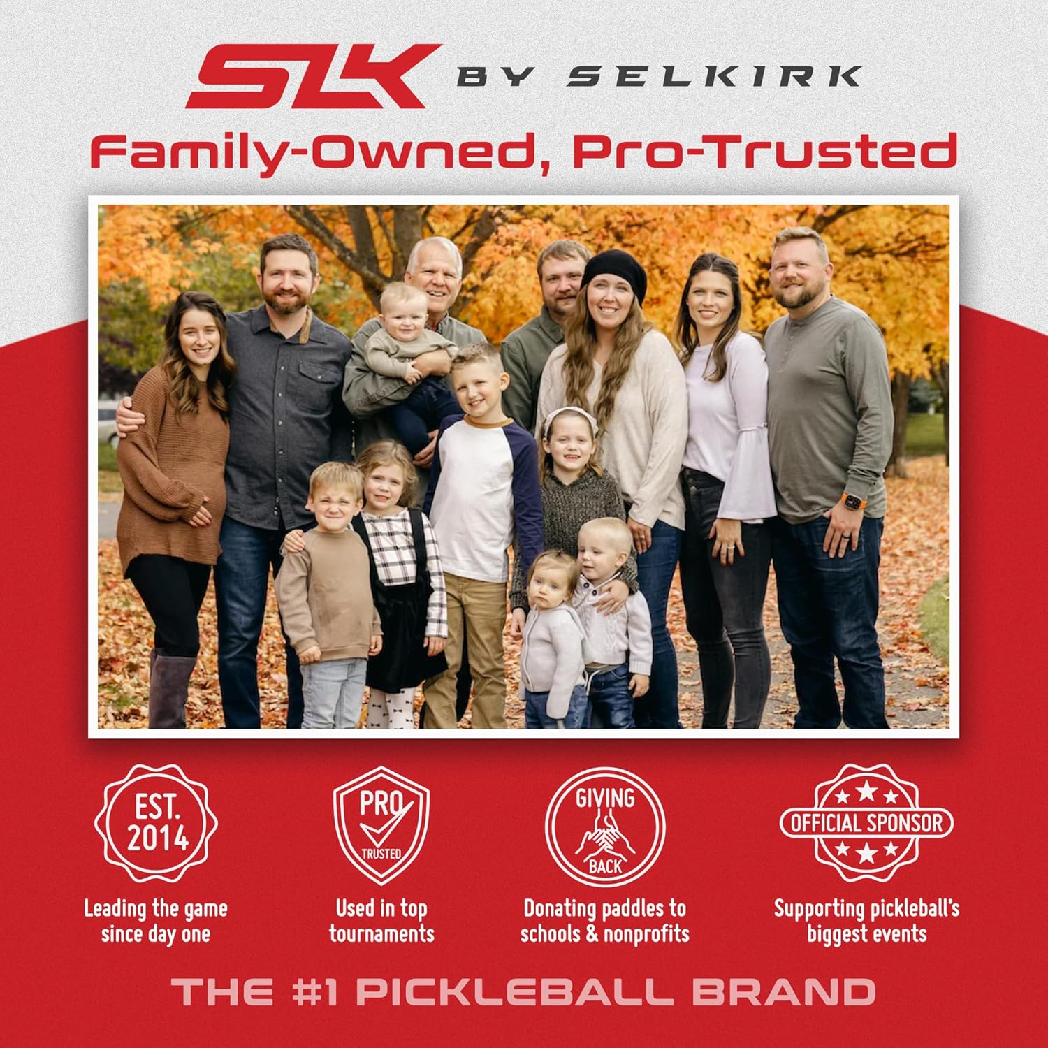 Selkirk SLK Halo Control XL Pickleball Paddle Control - Gray - 2025 2025 - XL (Elongated Shape)